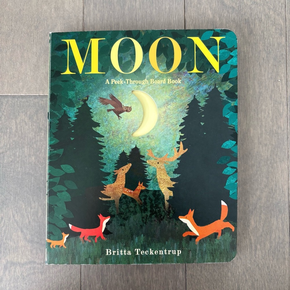 3/$20🌟 ‘Moon’ A Peek-Through Board Book